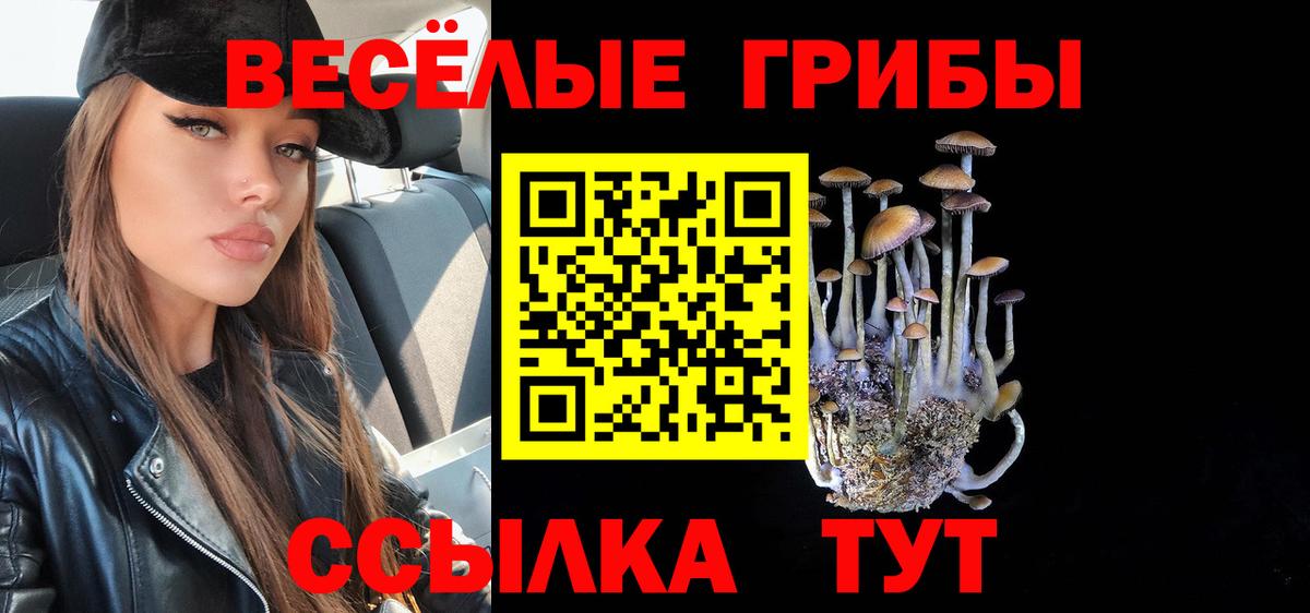 Галлюциногенные грибы мицелий Ишим