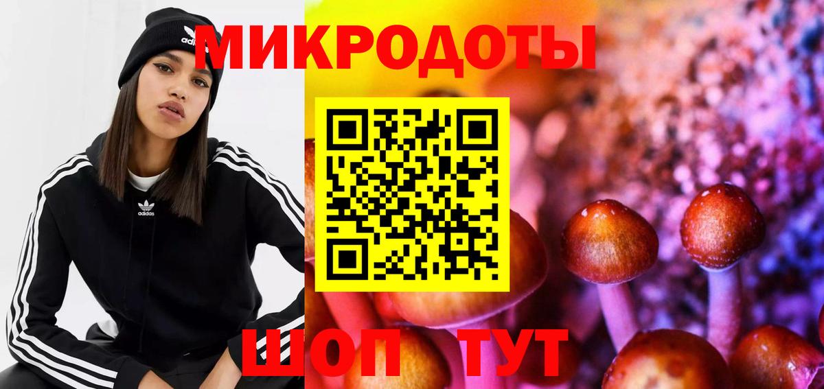 Галлюциногенные грибы Magic Shrooms  Вход с VPN  Ишим 