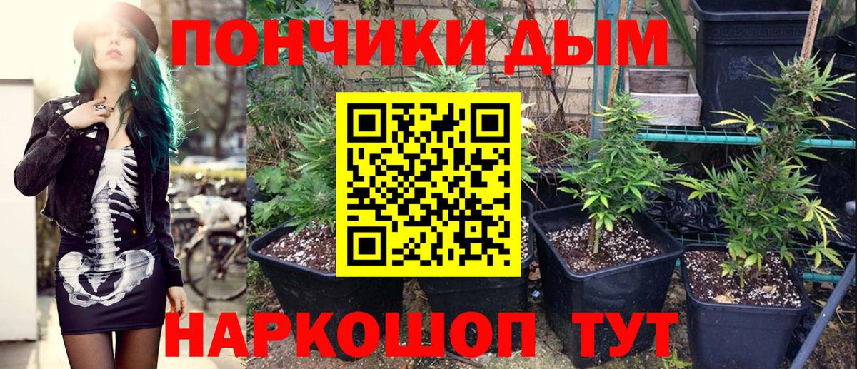 Ишим  Канабис марихуана  Каннабис ГИДРОПОН  Каннабис планчик  Конопля AK-47  Вход с VPN 